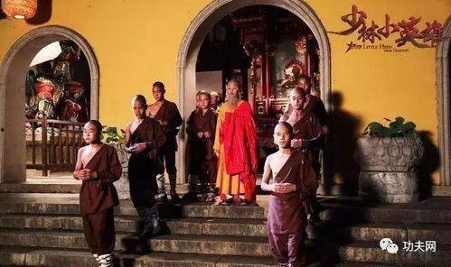 少林小英雄,传承武魂，勇闯江湖传奇