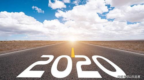 光照派 2020,探索光影艺术的新篇章